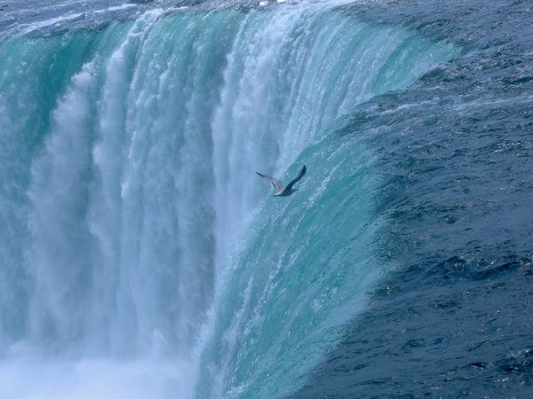 The Falls