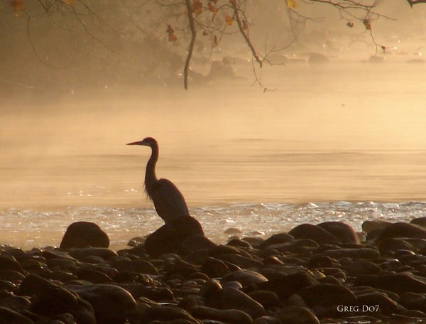 Serenity Far East Tennessee