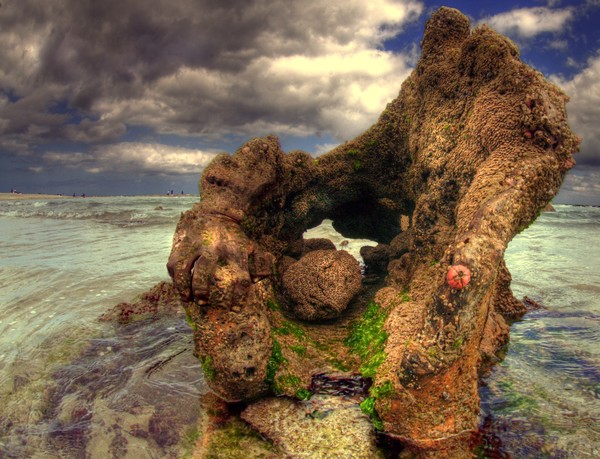Poseidon's chair