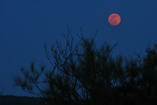 Super Moon 
