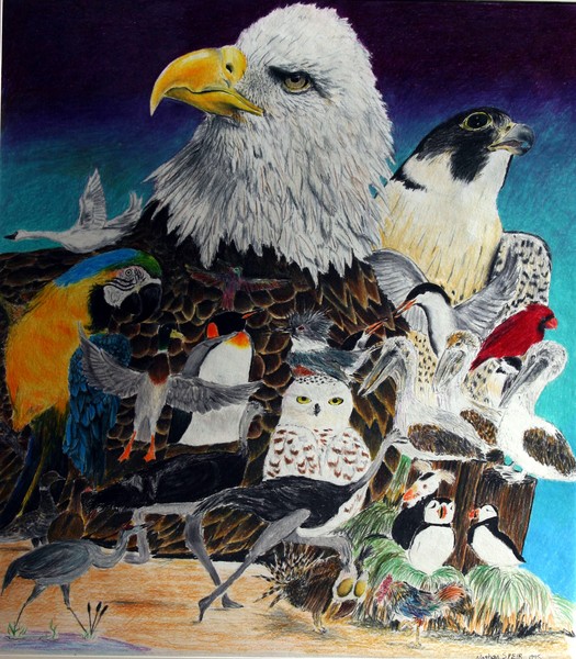 Birds
