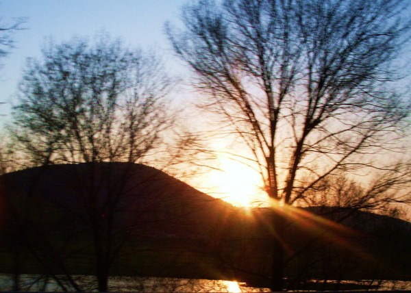 THE GLORIOUS SUN