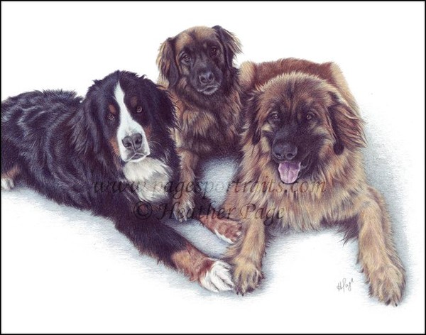 Bart, Jessie and Cooper