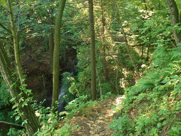 A frightening trail