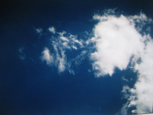 what do you see#2