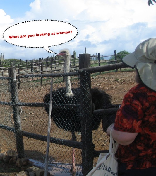 The ostrich and the lady