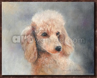 Poodle Print