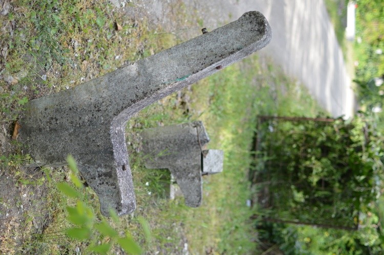 DSC 0117