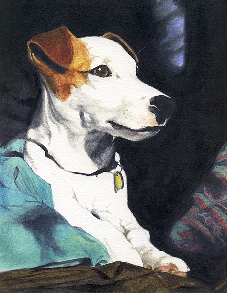 Java Dog