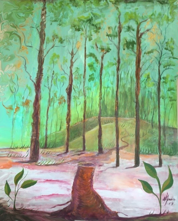 NATURAL REFORESTATION