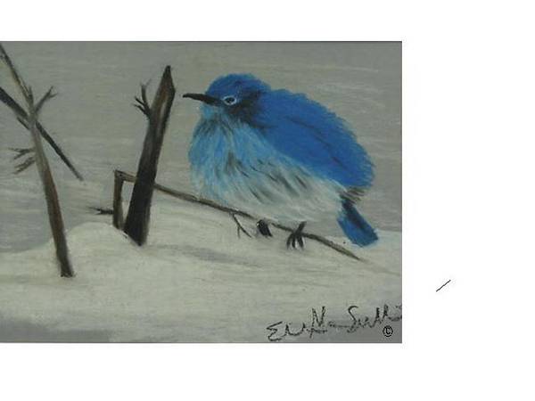Blue Bird
