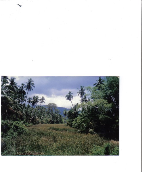 walkabout Ko Sumi