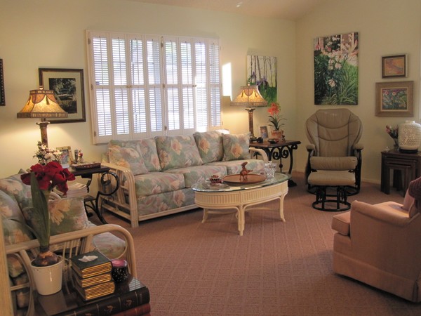 My New Living Room
