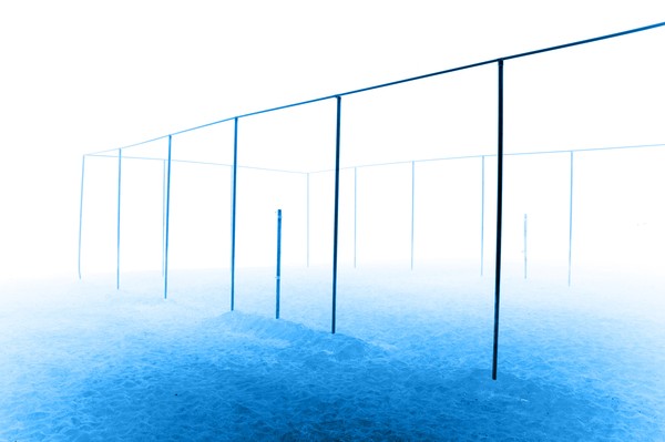 blue lines