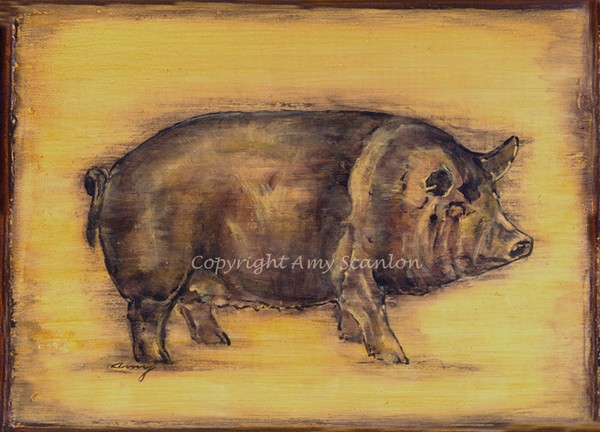 Hog, Bacon Beauty