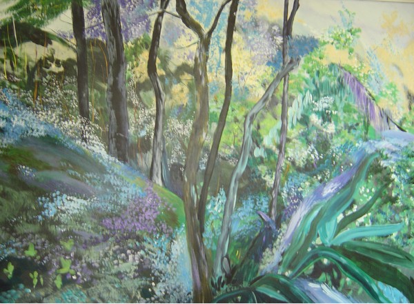 Undiscovered Forest