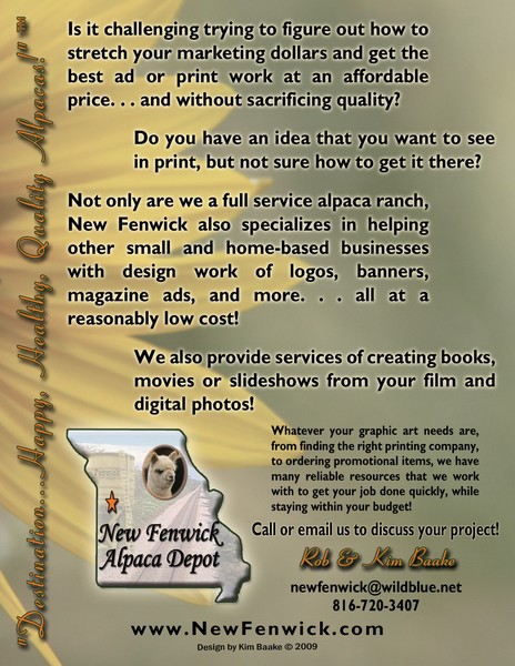 New Fenwick's flyer for artwork