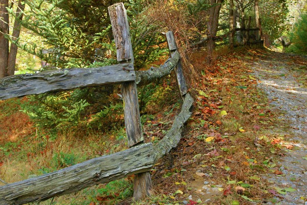 Autumn Lane