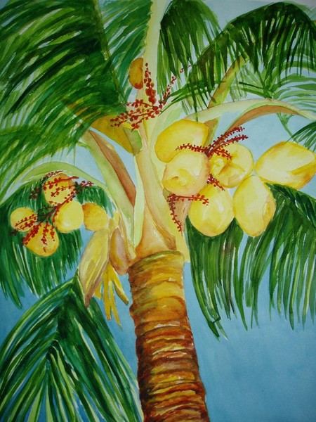 Yellow Coconuts