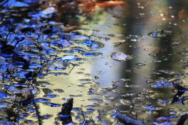 Reflection (2)