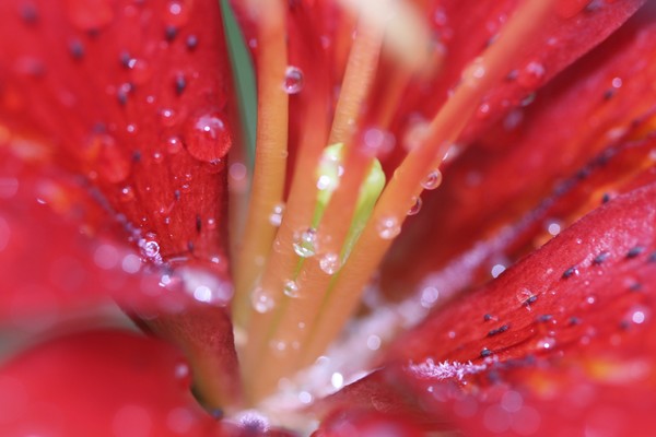 After The Rain 1