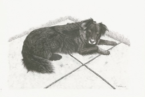 Bess