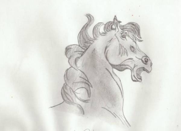 Wild Horse