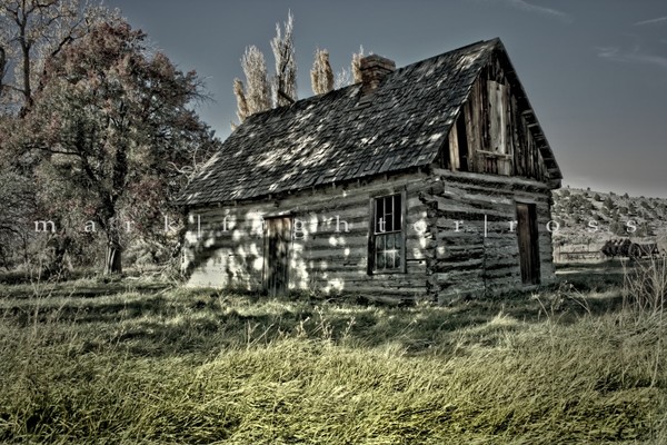 six shooter shelter