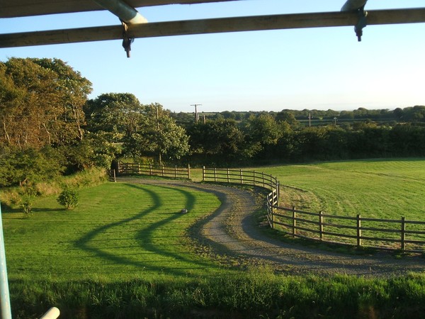 My lawn at Greylake house