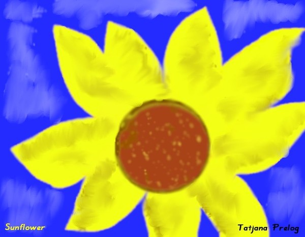 Sunflower