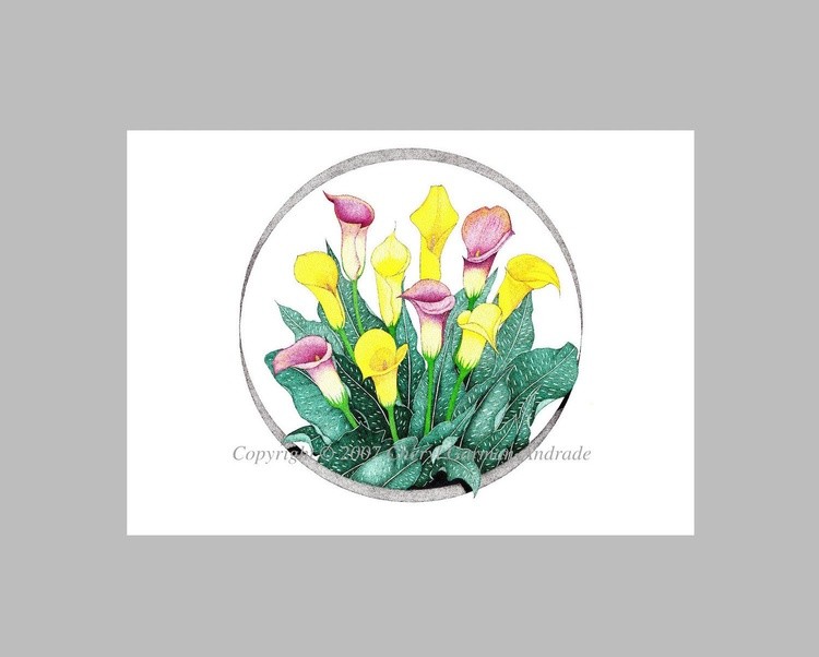Calla Lilies Pen and Ink Pointillism