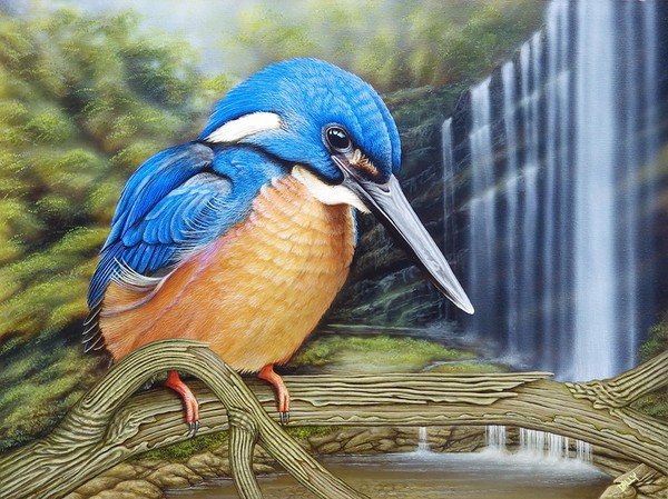 Azure Kingfisher