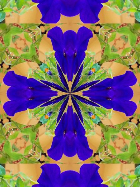DESIGN 110