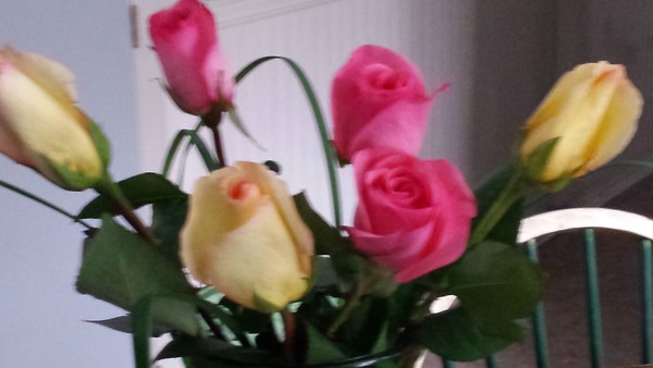 roses from Joe