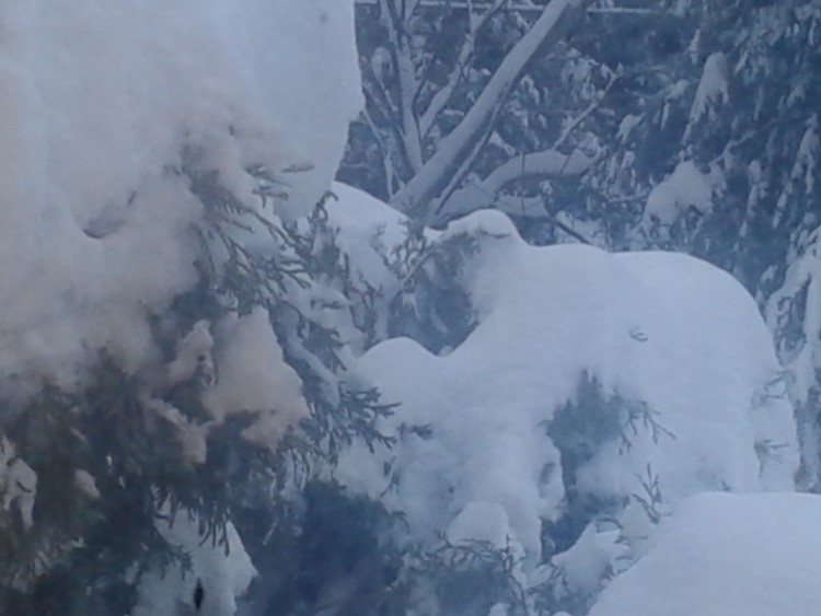 Hard  winter 2