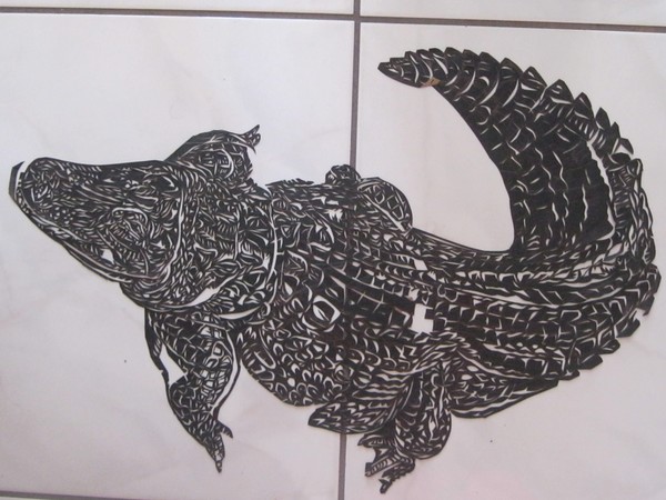 Cocodrilo