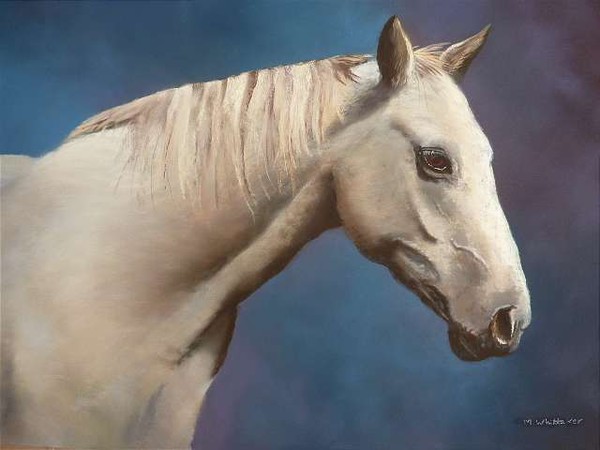 Horse Portrait