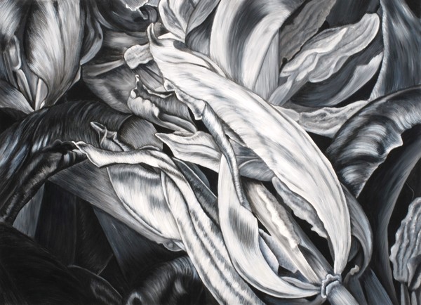 Tulipmania 6 BW