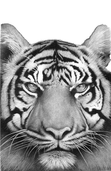 Watchful eye