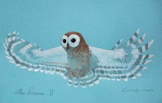 Hunting Owl