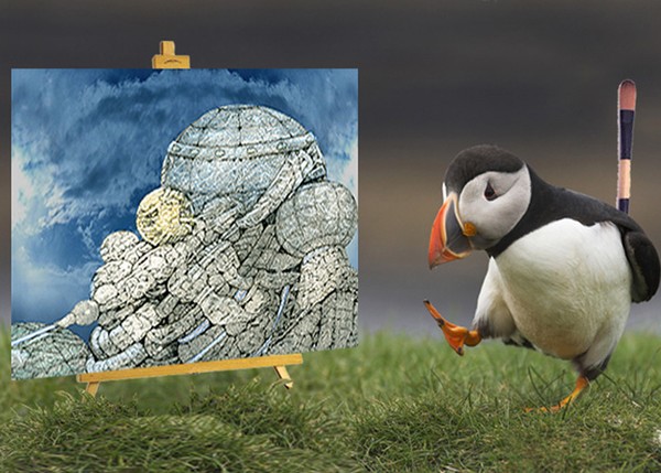 contemplation of the puffin