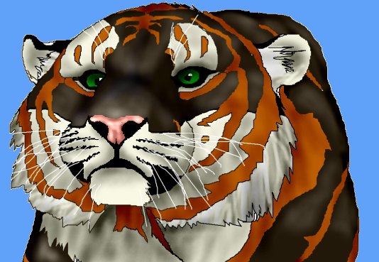 Kitton!