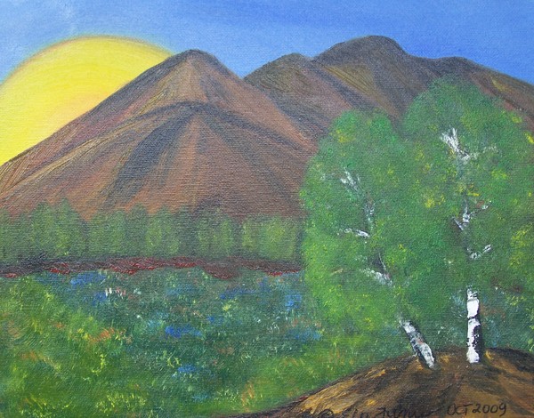 Mountain field