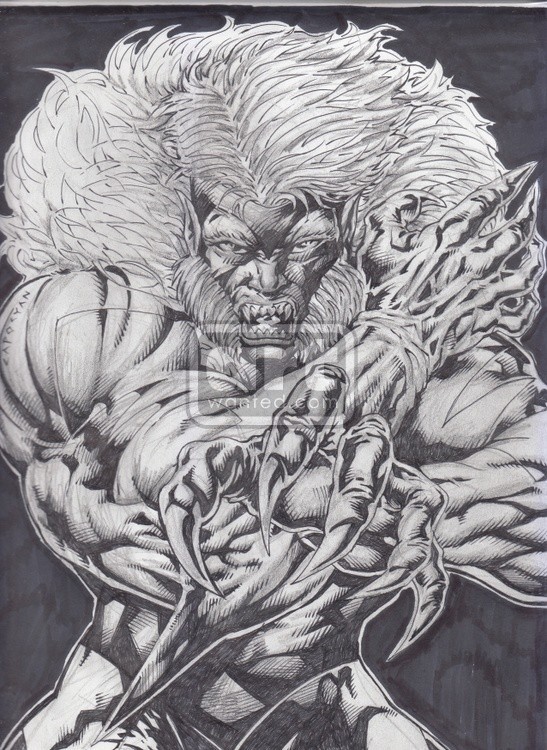 SABERTOOTH