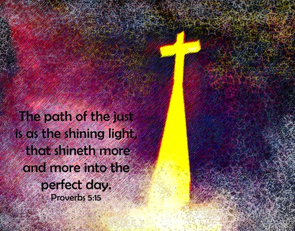 The Perfect Days Light