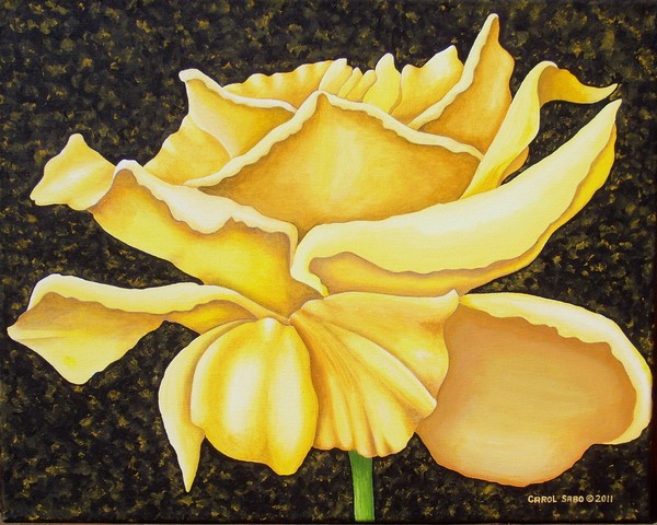 Yellow Rose