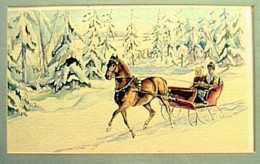 Sleigh Ride by Jan Szabo