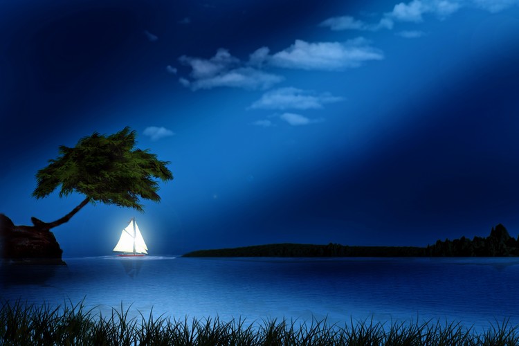 Blue Paradise