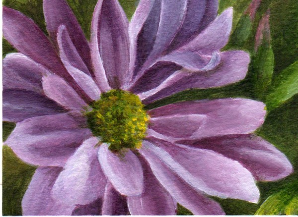 Dreaming of Spring