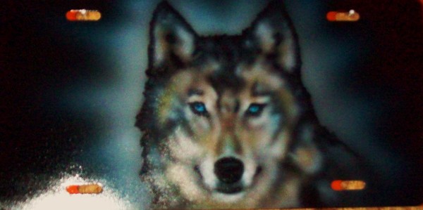 wolf